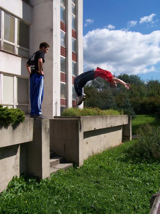 backflip1